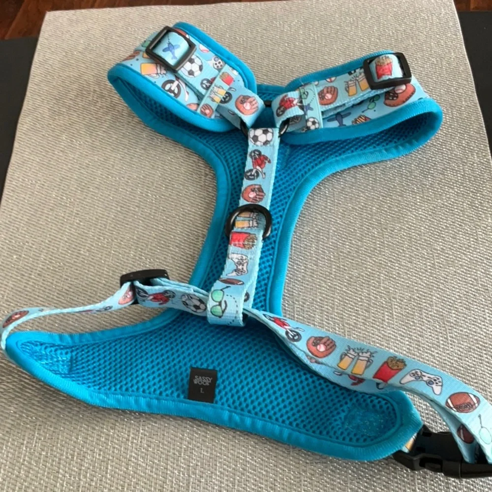 Sassy Woof Blue Sports-Themed Small Pet Harness